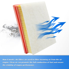 Capume filters alongside ruler to show accurate scale and fit confirmation