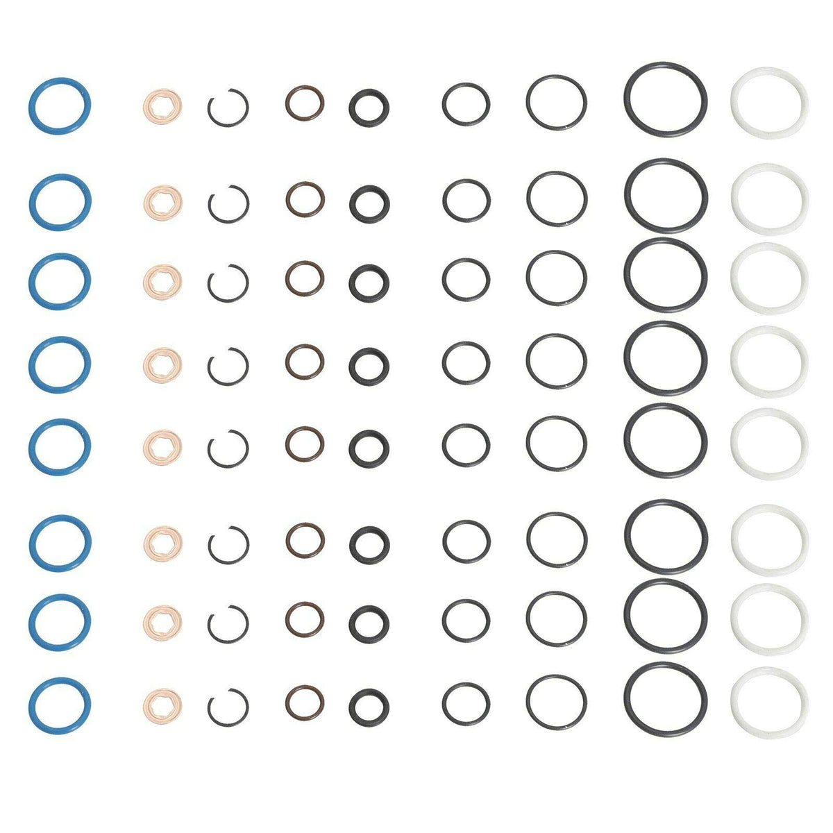 caqeg assortment of upper and lower O-rings with D-rings arranged for fast part selection