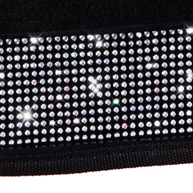 CAR PASS installed rear pair in car showing neat fit behind seats