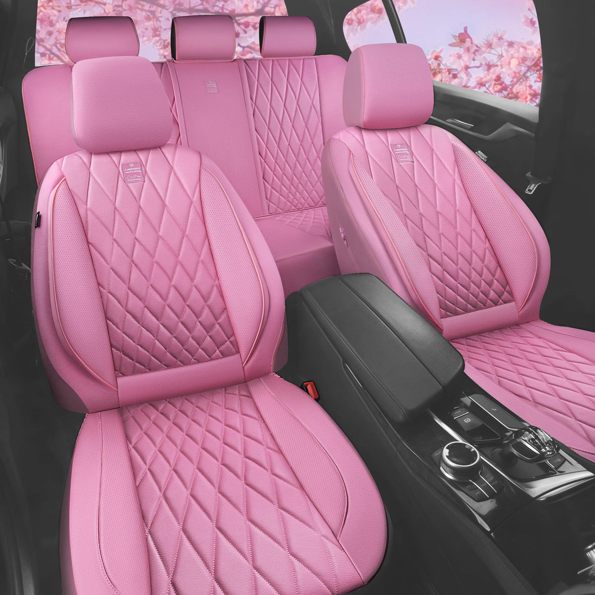 CAR PASS rear seat full coverage view showing complete protection