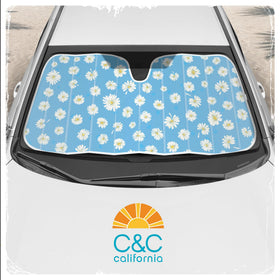 Carbella in parking lot lifestyle scene showing visible design and easy use