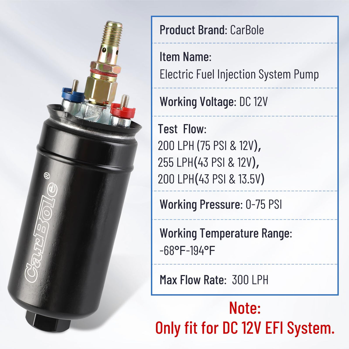 CarBole electrical connector markings for correct polarity and safety