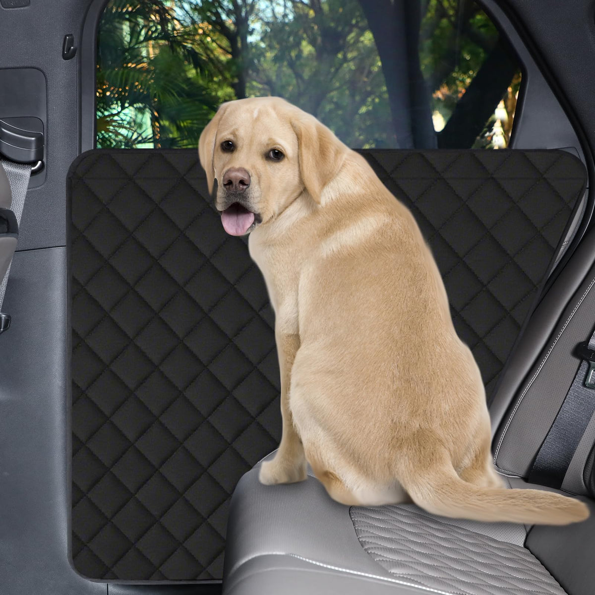 CarChic front view of door protector showing full coverage and clean look