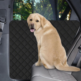 CarChic front view of door protector showing full coverage and clean look
