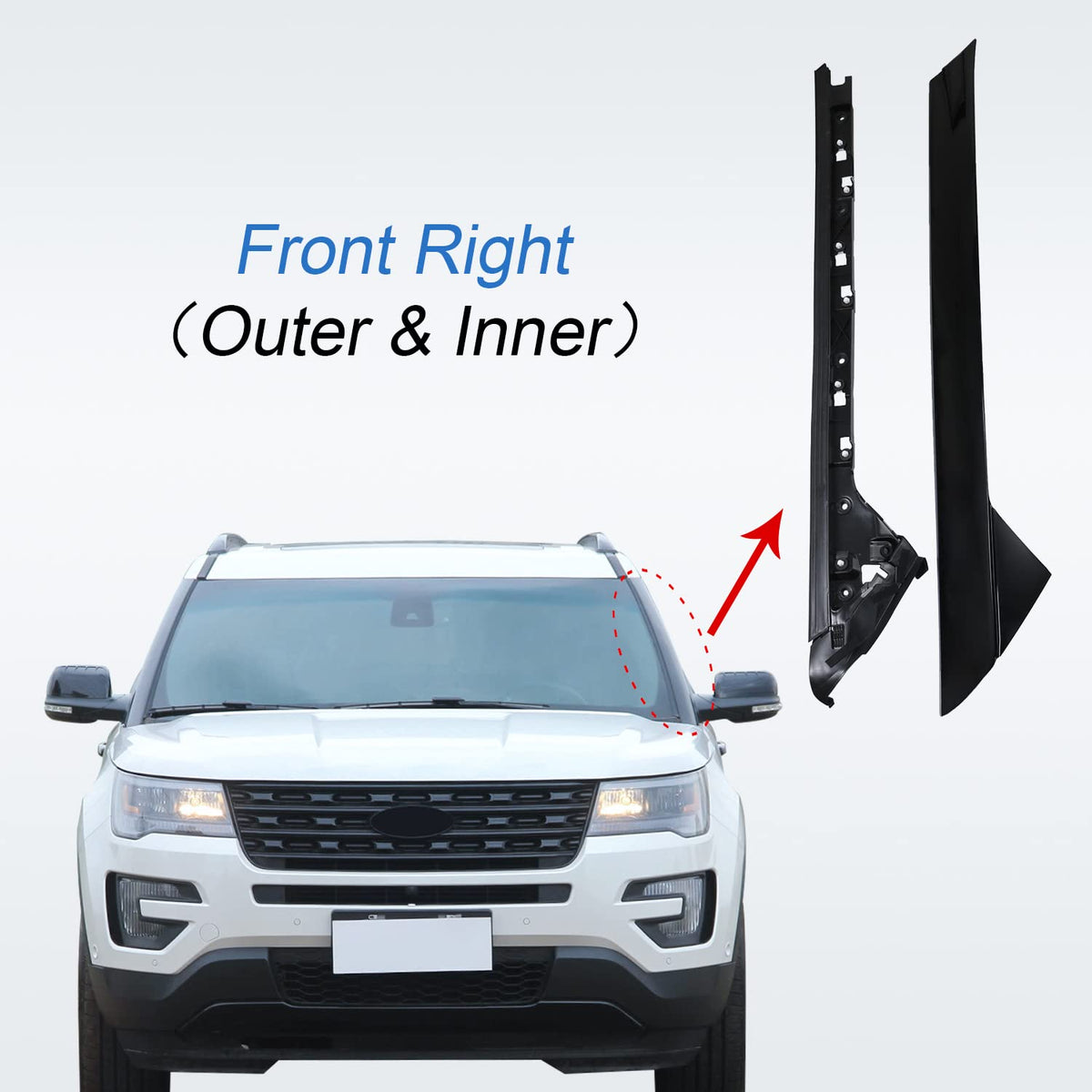 CARMOCAR size comparison beside ruler showing accurate-fit benefit