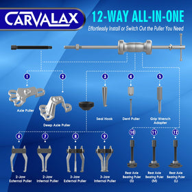 CARVALAX components arranged on foam tray showing organized, ready-to-use kit