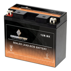 CB CHROMEBATTERY front view showing compact replacement form and easy installation benefit
