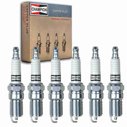 Champion821M front view of six-pack showing packaging and part number, helps quick identification