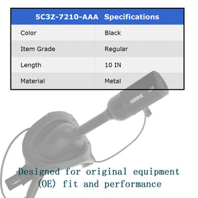 ChawYI size and scale next to ruler illustrating correct dimensions