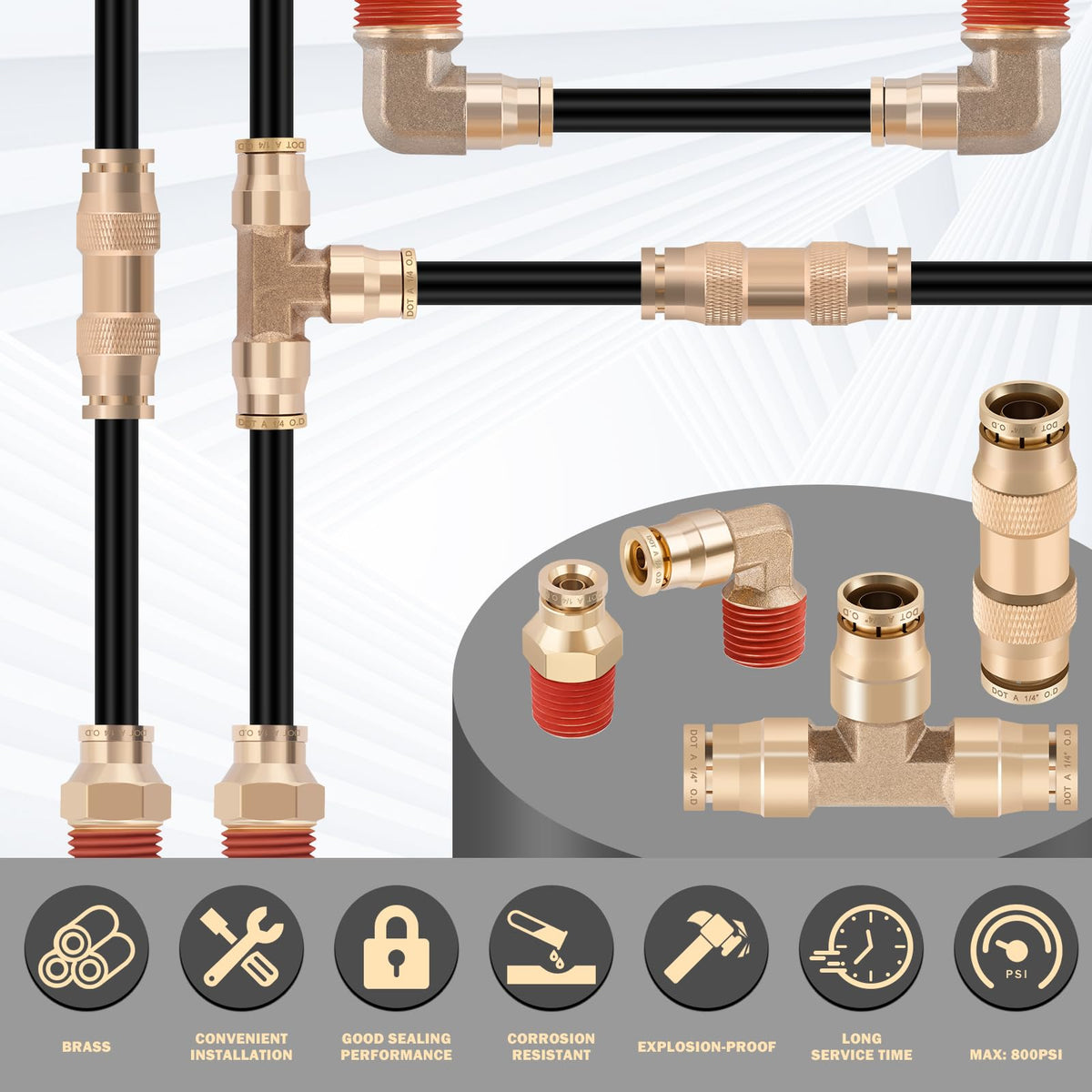 CheeMuii hose and fittings beside ruler showing 50 ft hose scale and sizing
