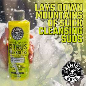 Chemical Guys Cyclone Dirt Trap close-up trapping grit to prevent swirl marks