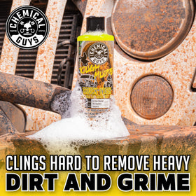 Chemical Guys ingredients panel close-up, shows safety and pH-balanced benefit