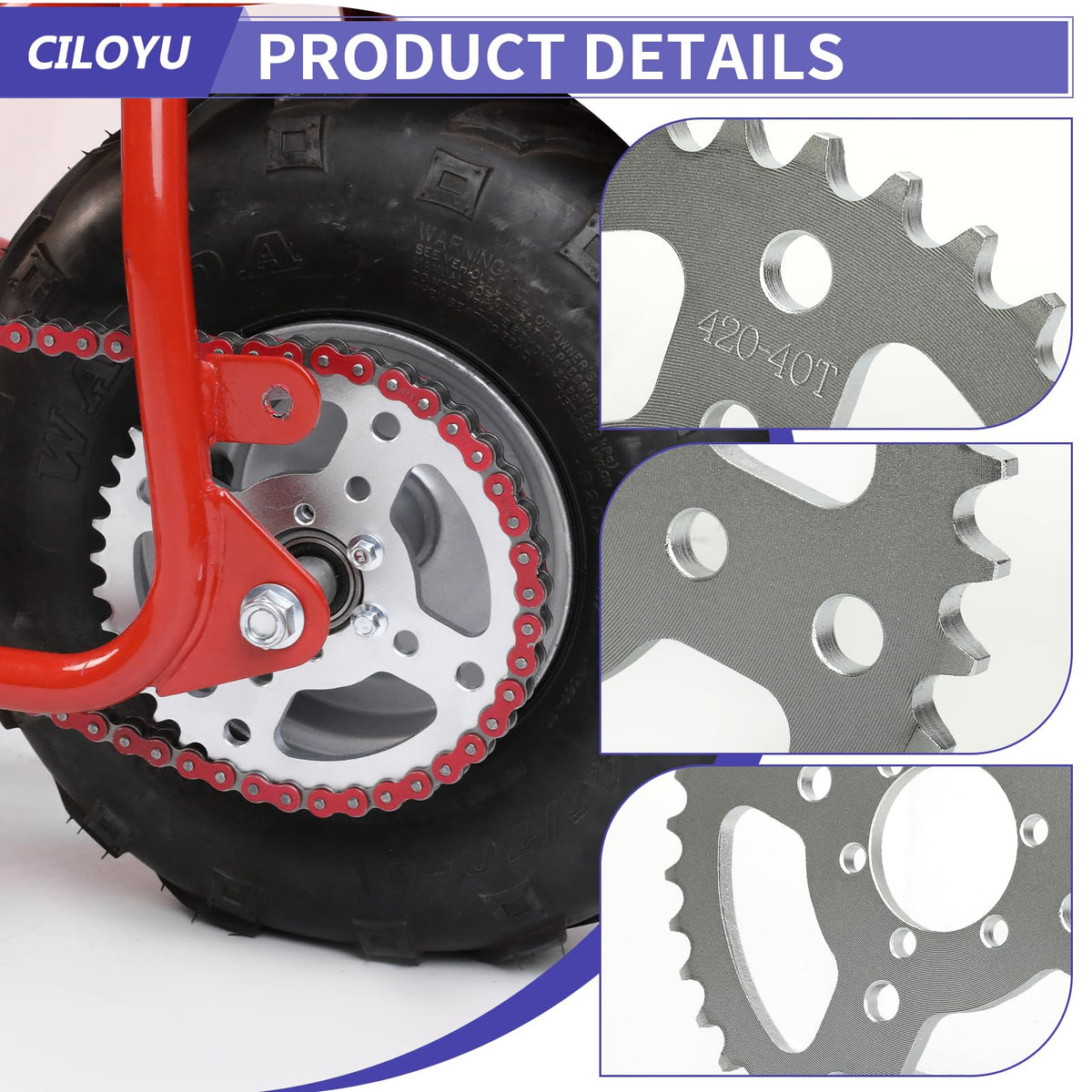 CILOYU scale comparison with ruler showing exact dimensions for correct selection