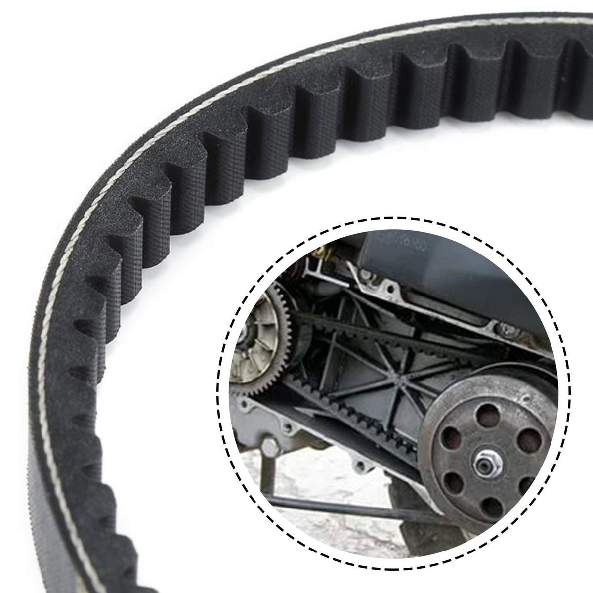 CLIO belt beside ruler showing scale for easy size confirmation