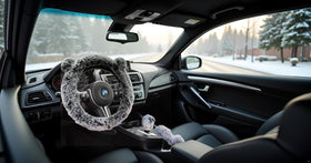 CNW-SHS installed on dashboard creating cozy interior atmosphere