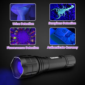 COSOOS open storage bag with detector and accessories organized for transport