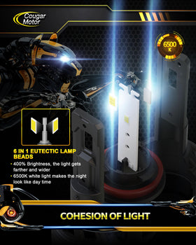 Cougar Motor aluminum body detail providing efficient heat dissipation