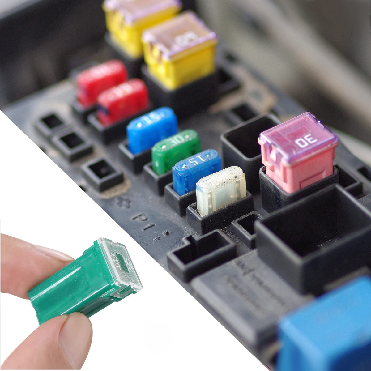 CrocSee open organizer with separated compartments keeping fuses sorted and accessible