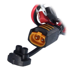 CTEK indicator eyelet M8 closeup of three-color LED display for clear charge reading