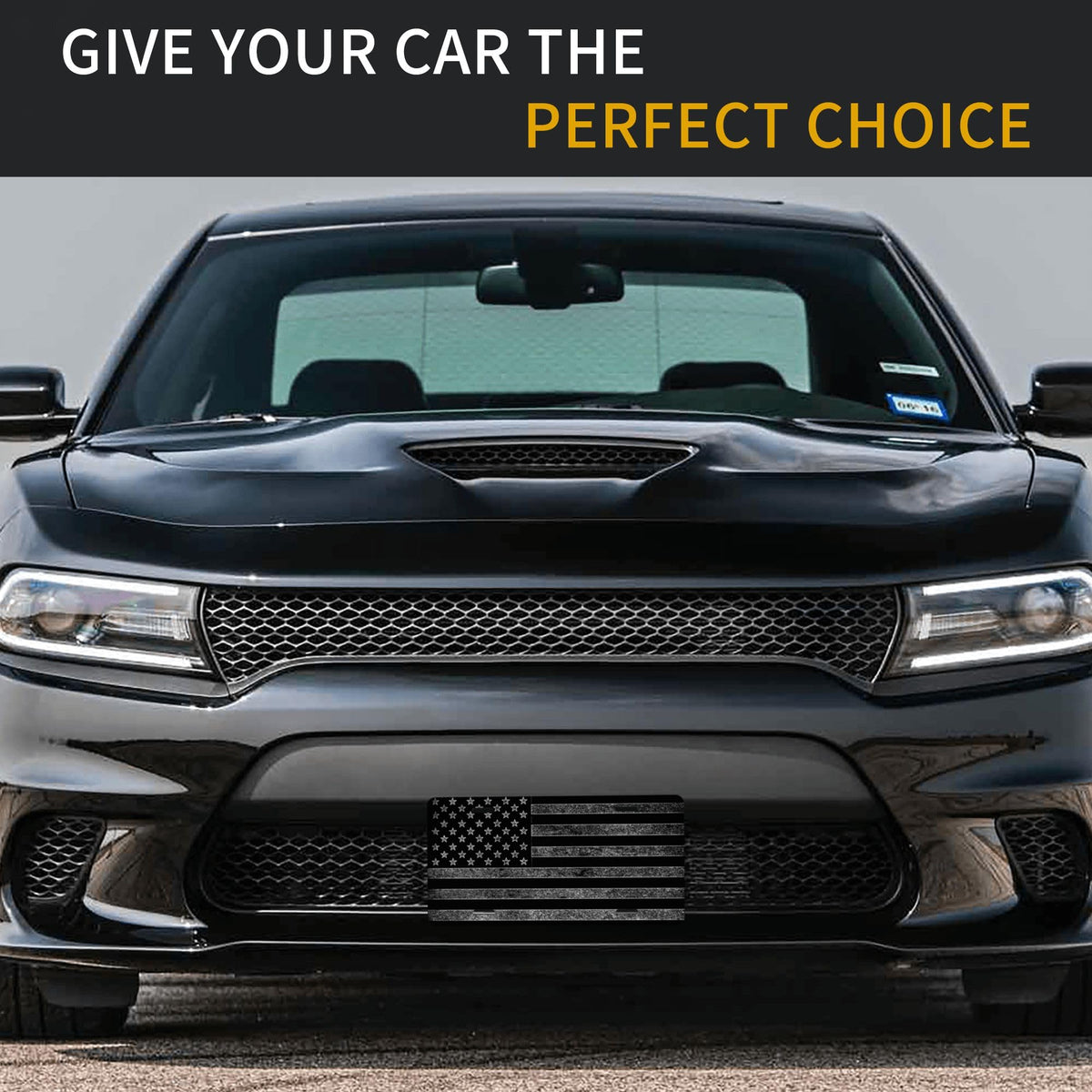 CTVSLFU mounted on truck grille showing rugged outdoor durability and visual impact