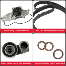 CYTROBE seals and gaskets laid out to show complete replacement convenience