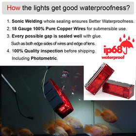 CZC AUTO installed on boat trailer demonstrating corrosion-resistant lighting
