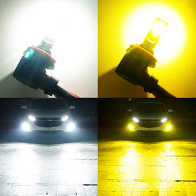 D-Lumina protected seal closeup showing IP65 waterproofing for all-weather durability
