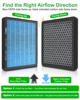 Dacall CF10285 honeycomb carbon closeup highlighting adsorption surface