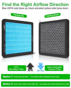 Dacall honeycomb carbon close-up highlighting stabilized filtration