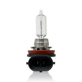 DAMA Automotive Lighting H9 beam on pavement illustrating road visibility