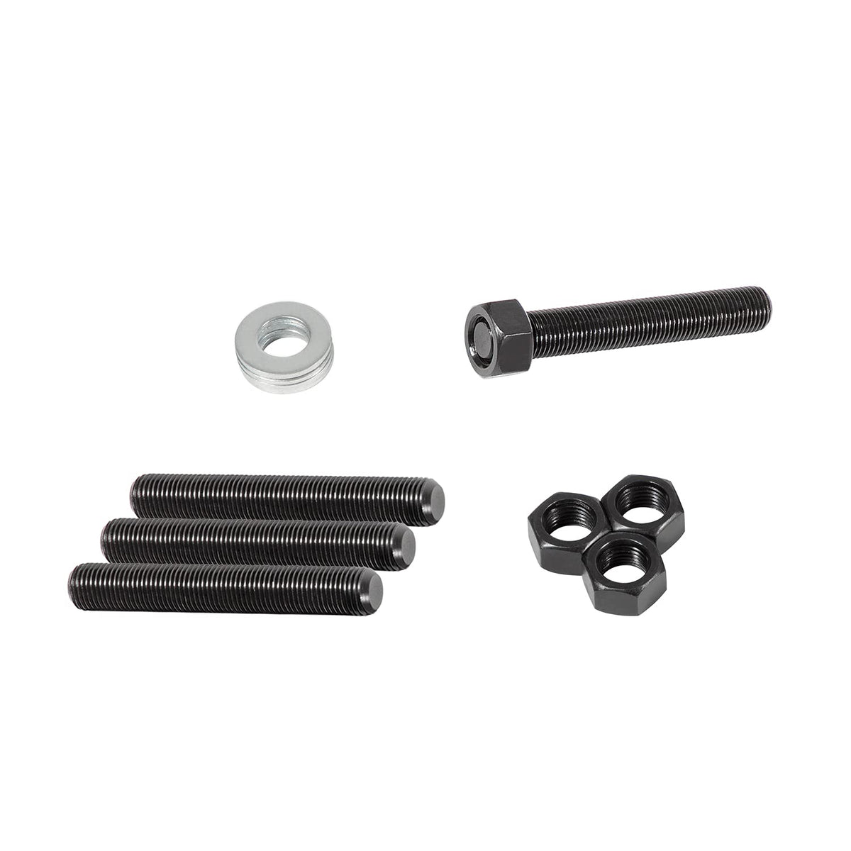 Danti size comparison next to a rear seal showing correct scale and compatibility