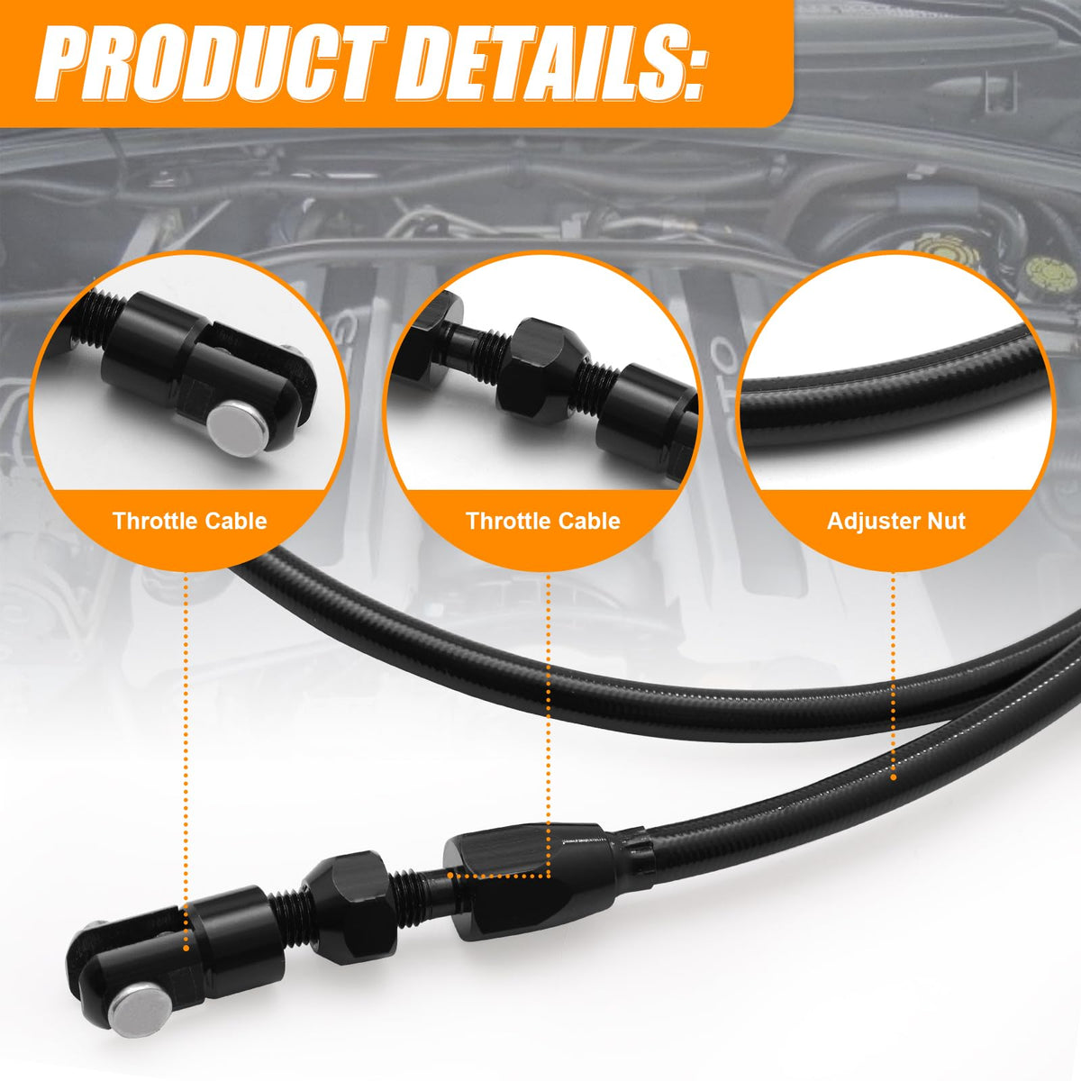 daola888 installed in engine bay, tidy routing and heat resistance