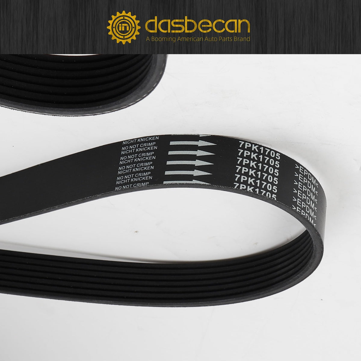 Dasbecan tensioner and idler installed mock-up illustrating correct mounting orientation
