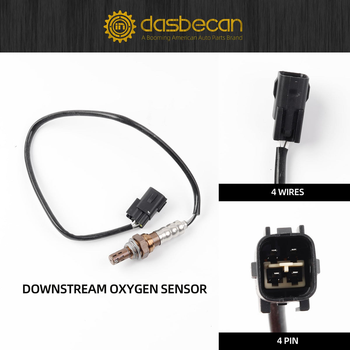 Dasbecan sensor beside ruler showing scale for accurate sizing