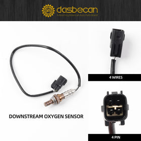 Dasbecan sensor beside ruler showing scale for accurate sizing