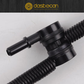 Dasbecan next to ruler size comparison to confirm correct dimensions