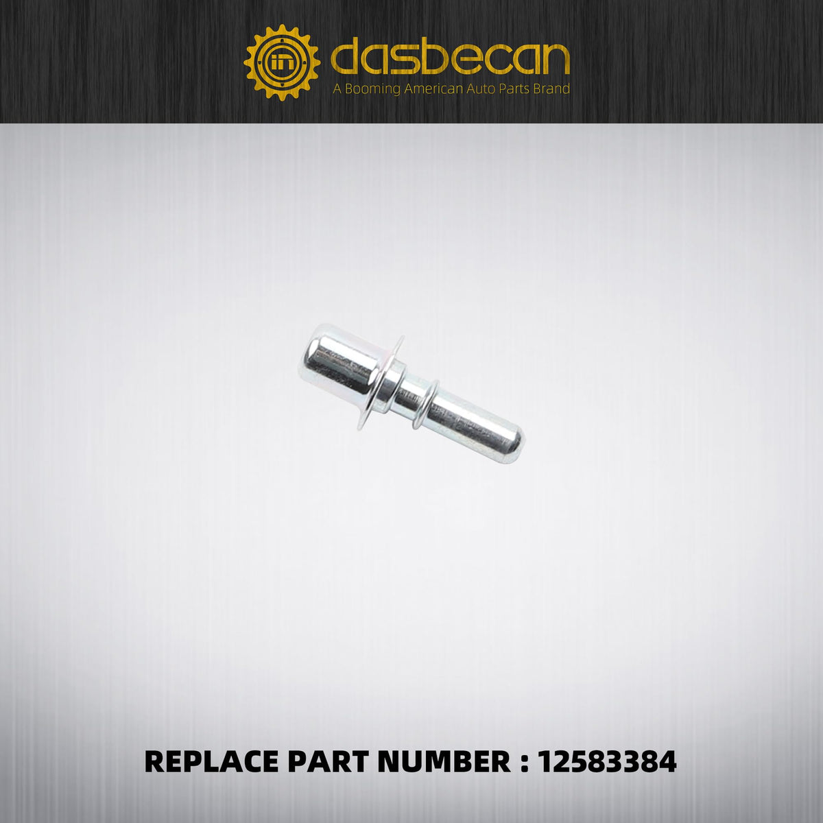 Dasbecan tube beside ruler illustrating length and scale for fit confirmation benefit