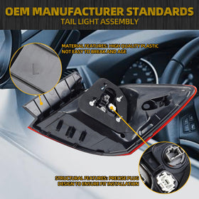 Dasbecan tail light wiring plug detail ensuring correct electrical connection