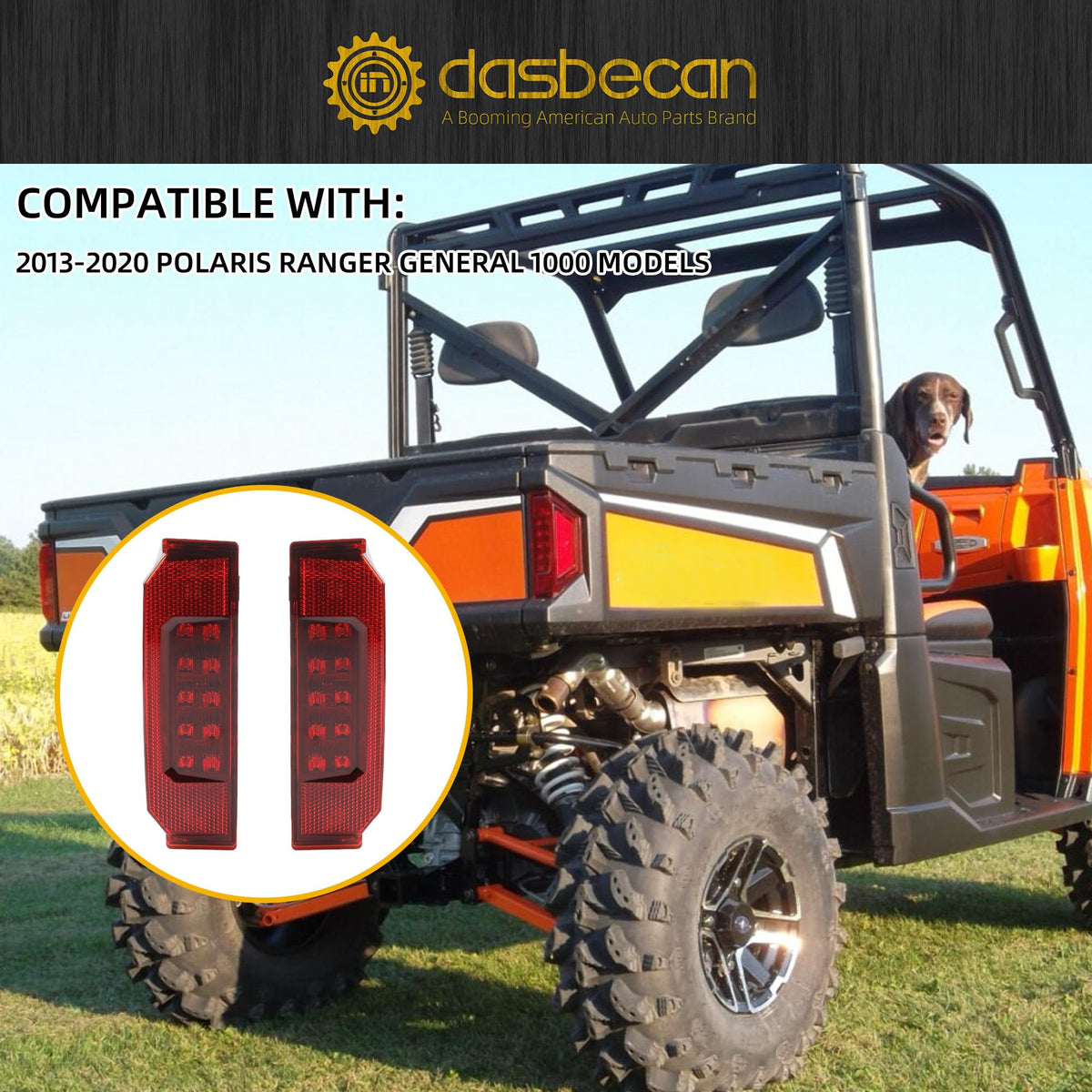 Dasbecan night demo showing improved rear visibility and signaling clarity