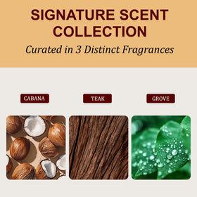 Dcifuu cabana stone texture detail displaying oil infusion and spill-free scent benefit