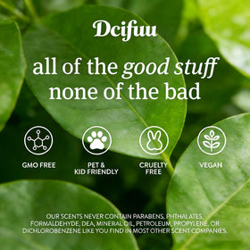 Dcifuu teak stone close-up showing texture and long-lasting infused fragrance benefit
