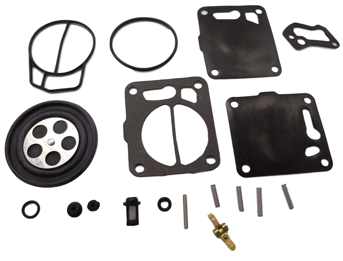 DEF organized hardware layout for two carburetors showing included parts for full rebuild