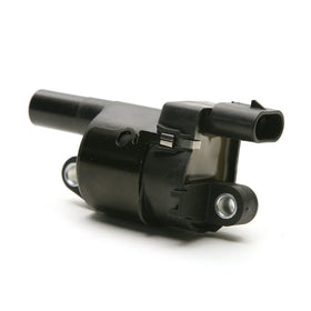 Delphi GN10165 front view showing coil body and mounting for reliable fit