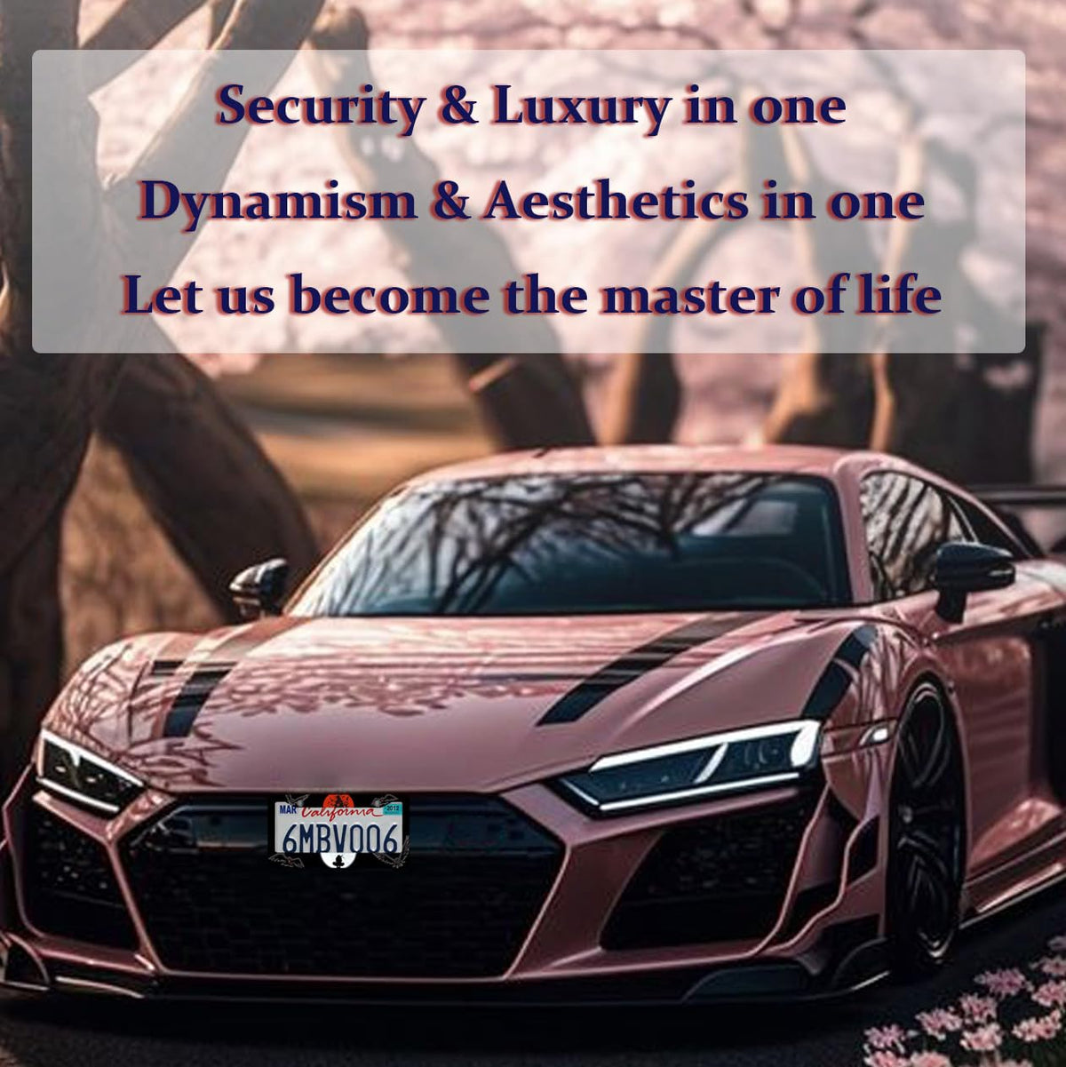 DGDRHZ lifestyle shot on urban street showing personalized anime car accessory