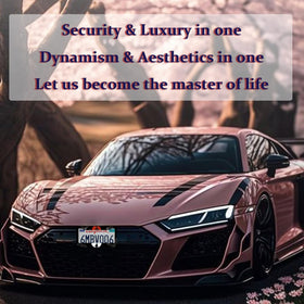 DGDRHZ lifestyle shot on urban street showing personalized anime car accessory