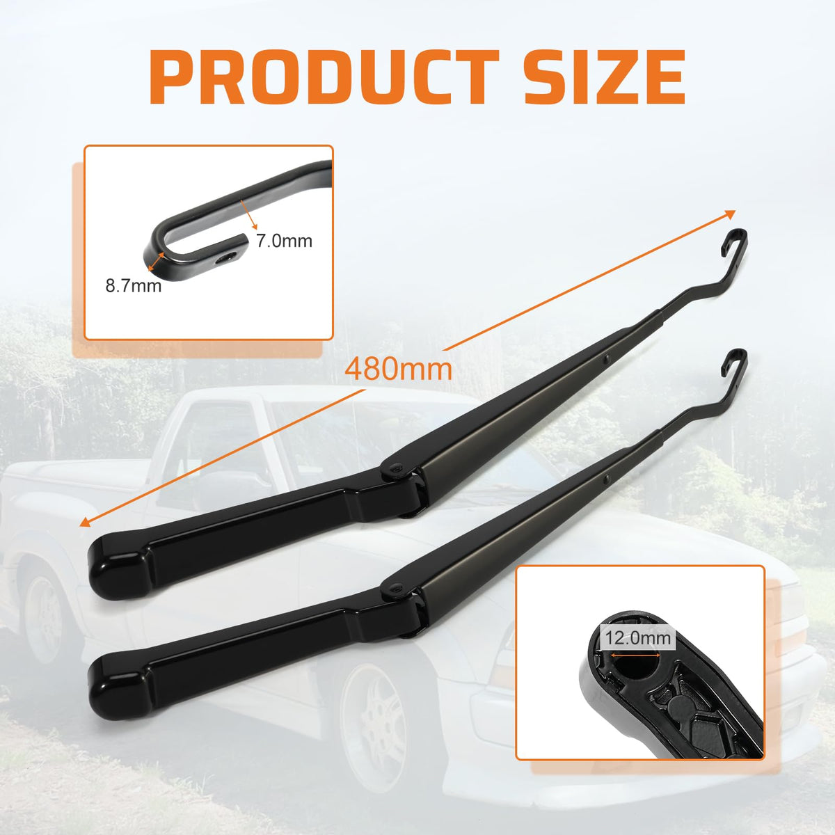 Dilomber size scale comparison with ruler confirming proper length benefit