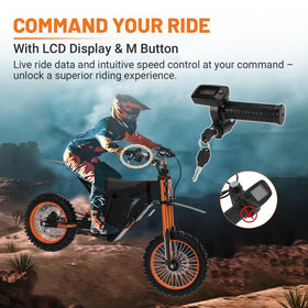 Dilomber throttle LCD close-up displaying clear ride information for safer decisions