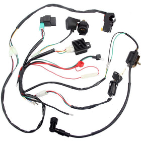 DKIIGAME front view of complete wiring harness kit showing all parts and easy replacement benefit