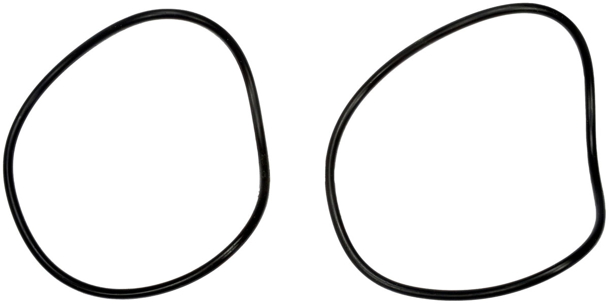 Dorman kit contents laid out for scale showing all included O-rings and seals