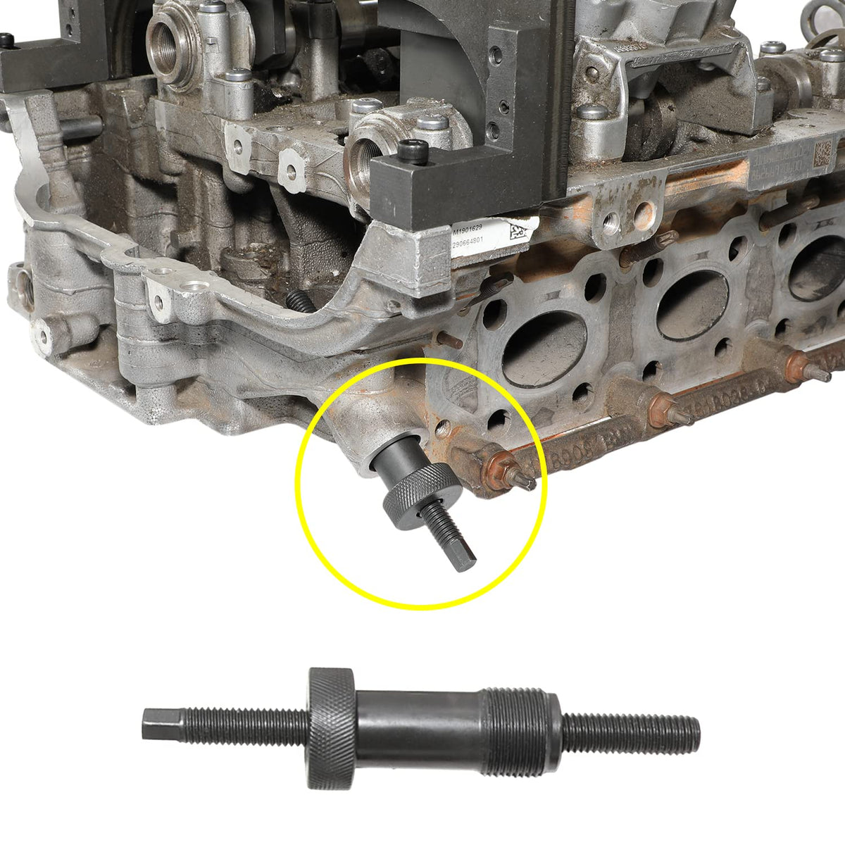 DPTOOL Vanos solenoid wrench with T60 socket ready for secure fastener removal benefit